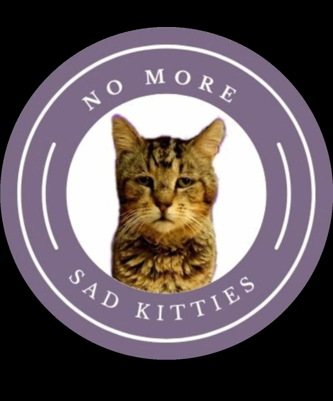 No More Sad Kitties